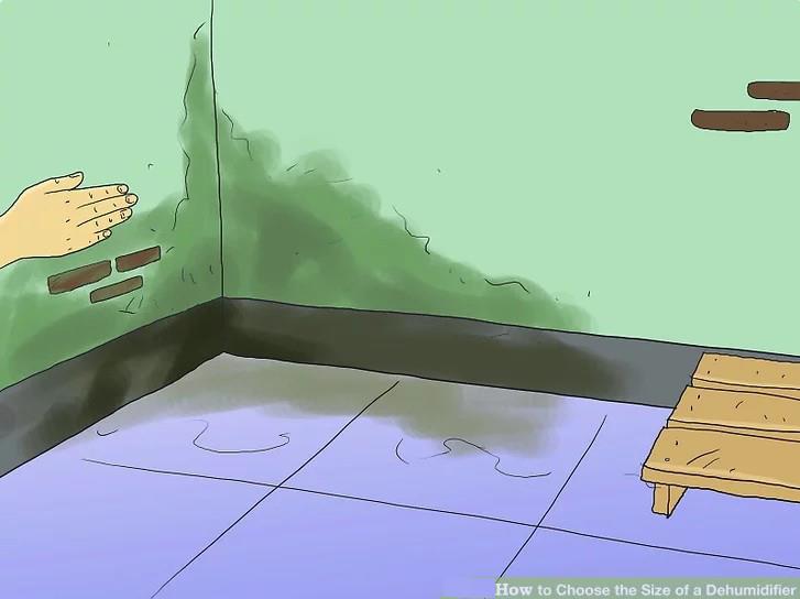 How to Choose the Capacity of Dehumidifier